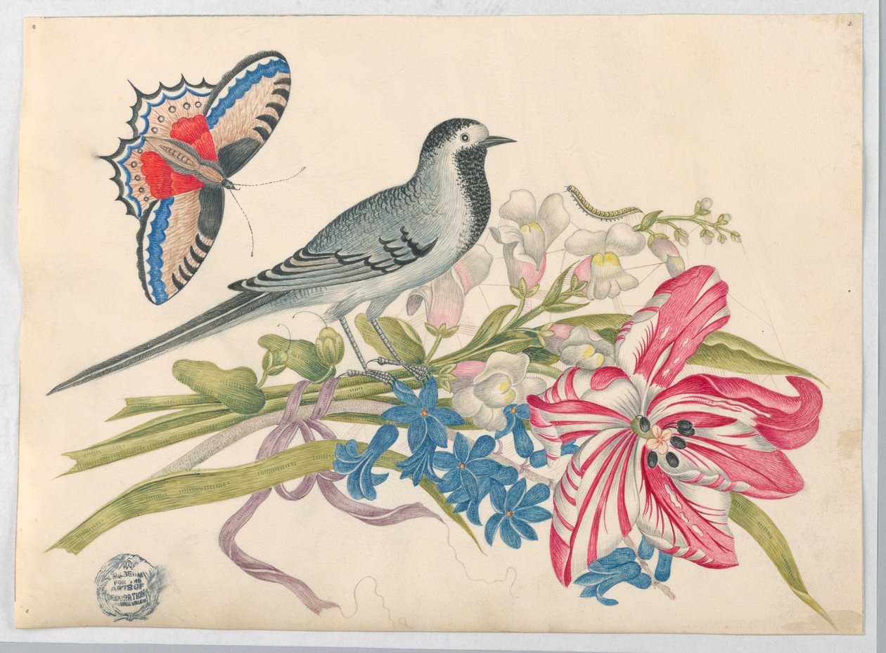 Pássaro cinza no galho com tulipa, Snapdragons e miosótis com borboleta de Unknown artist