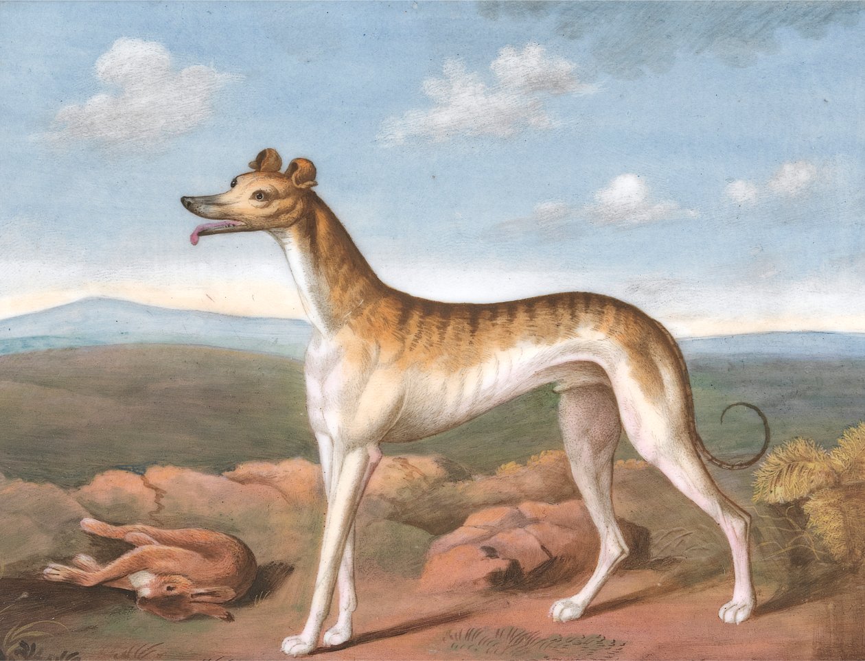 Galgo: De frente para a esquerda, com uma lebre morta aos seus pés de Unknown artist