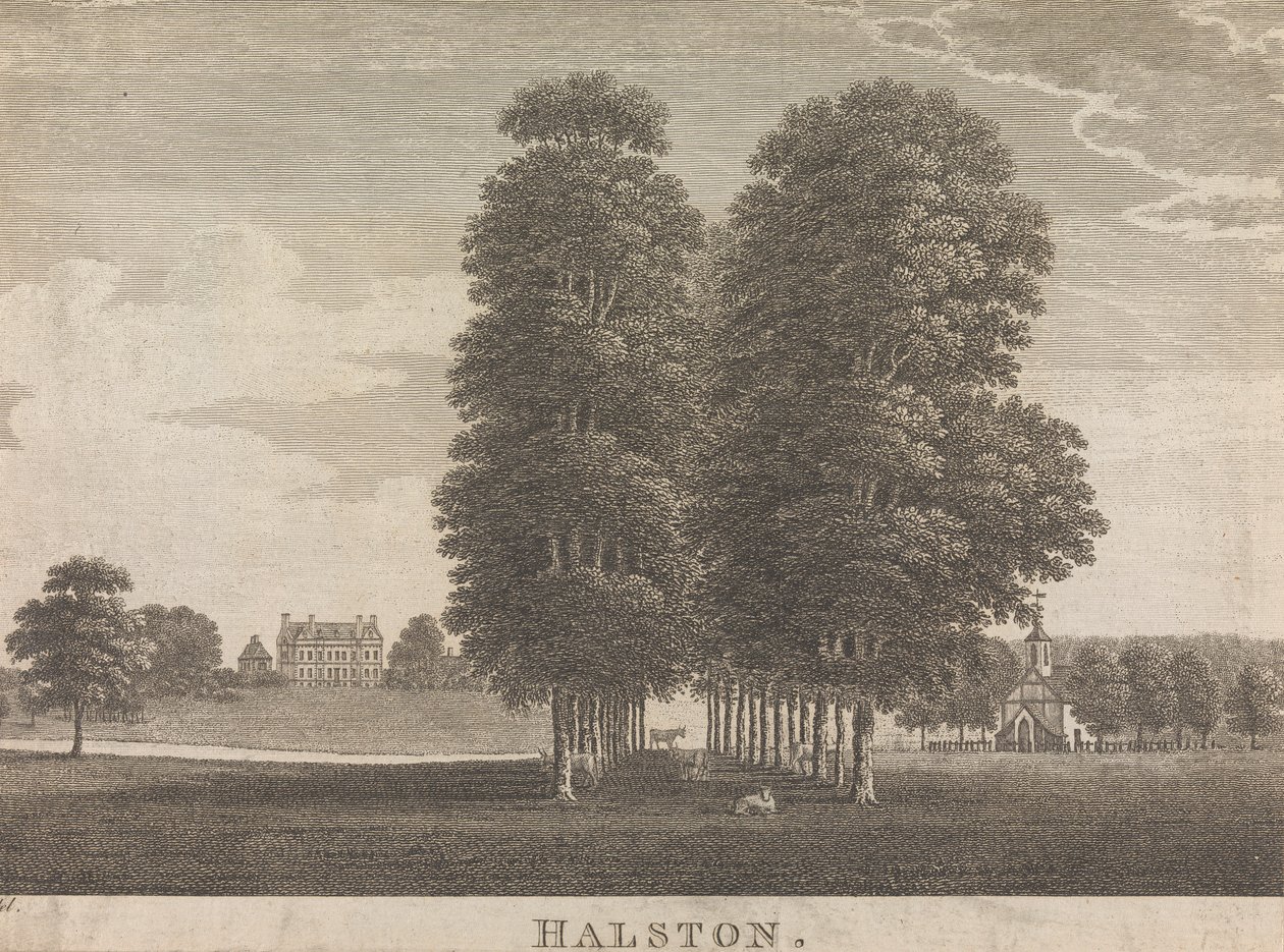 Halston; página 22 (Volume Dois) de Unknown artist