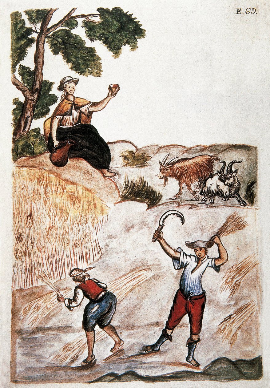Colheitas, índios do Peru que trabalham nos campos. Aquarela do século XVIII Madrid. Biblioteca del Palacio Real de Unknown artist
