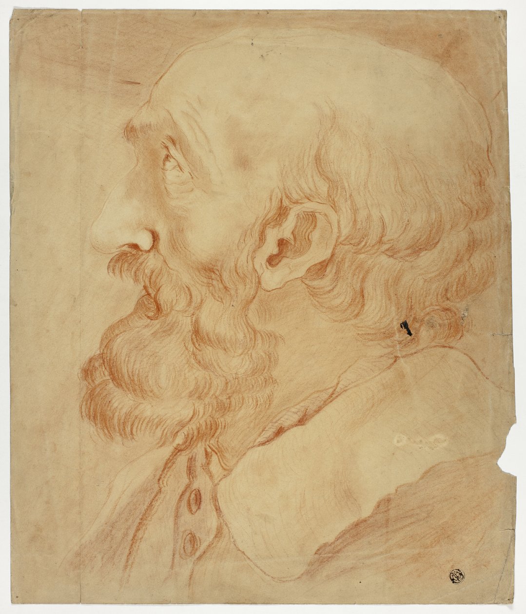 Cabeça de homem barbudo em perfil de Unknown artist