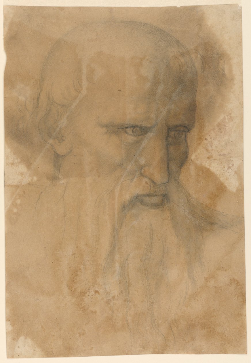 Cabeça de um homem barbudo idoso de Unknown artist