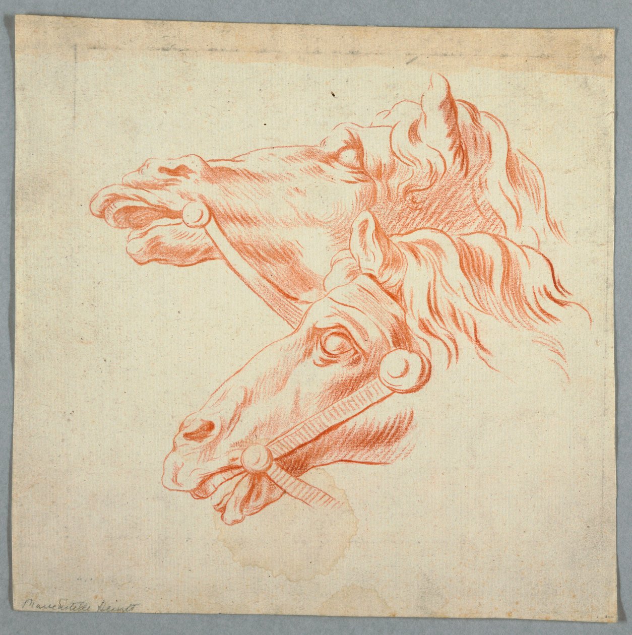 Estudos de cavalos de Unknown artist