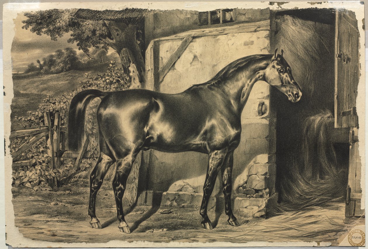 Cavalo na frente de um celeiro (verso) de Unknown artist