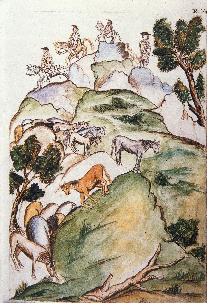 Os cavaleiros rodeiam éguas na montanha para apanhá-las, do livro "Trujillo del Peru" ou "Códice Martínez Compañón", de Baltazar Martinez Compañón y Bujanda, bispo de Trujillo (1782-1785) de Unknown artist