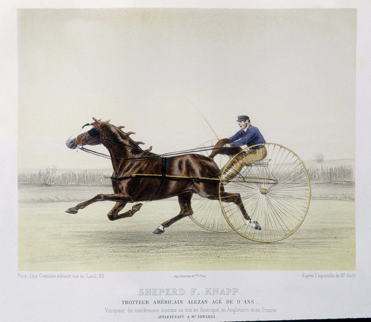 Andar a cavalo: Shepherd F. Knapp, trotter - em "o centauro". de Unknown artist