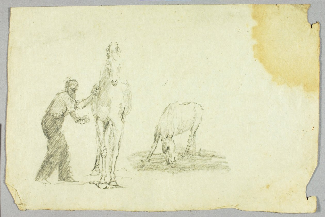 Cavalos de Unknown artist