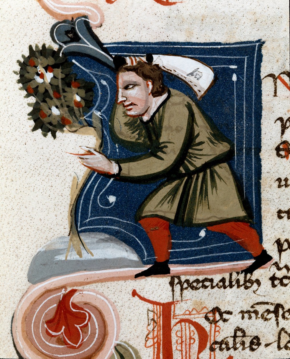 Horticultura: plantar uma árvore. Detalhe. Página manuscrita (MS.s.vi) "Trattato di agraria" de Pietro de Crescenzi (Pedra Crescente ou Pedra Crescente) (1233-1320) Século XIV Cesena, Biblioteca Malatestiana de Unknown artist