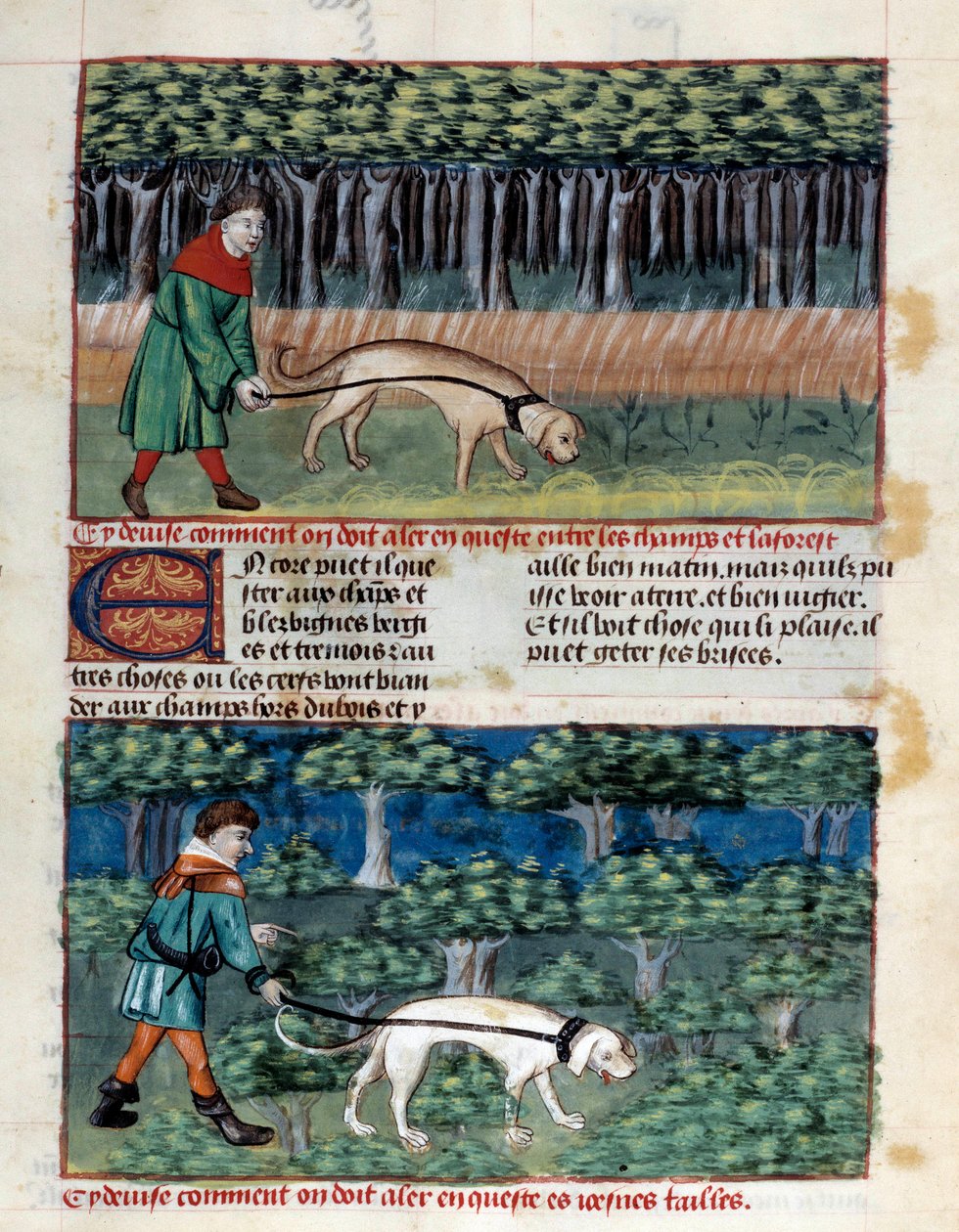 Como conduzir cães Miniatura retirada de "O livro de caça" de Gaston III Phoebus, Conde de Foix, Senhor de Bearn (1331-1391) de Unknown artist