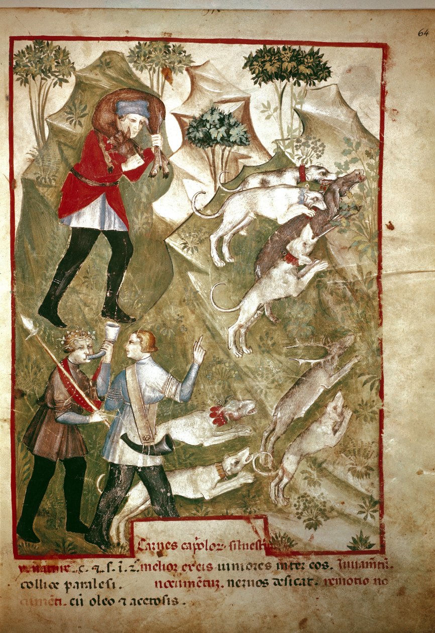 A caça (Miniatura, século XIV) de Unknown artist