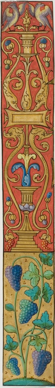 Bordo iluminado com uvas, pássaros e grotescos de um manuscrito de Unknown artist