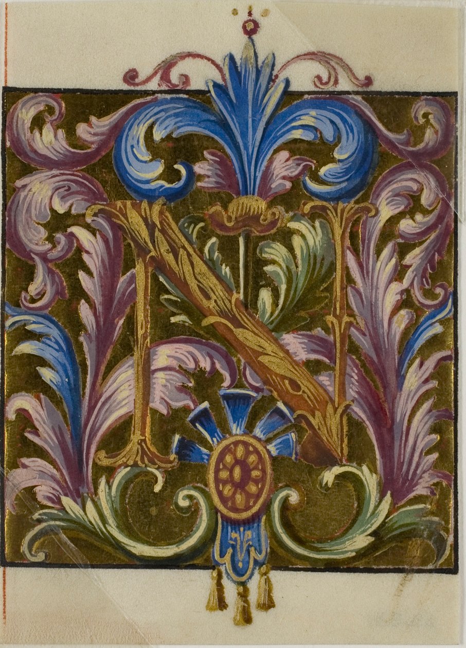 Inicial "N" iluminada com folhas de acanto de um livro de coro de Unknown artist