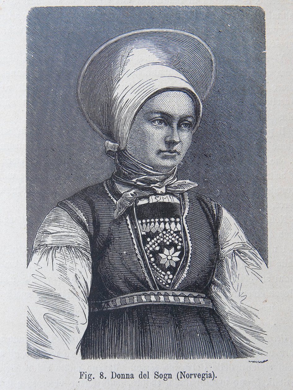 Ilustração de "A raça humana" de Louis Figuier de Unknown artist