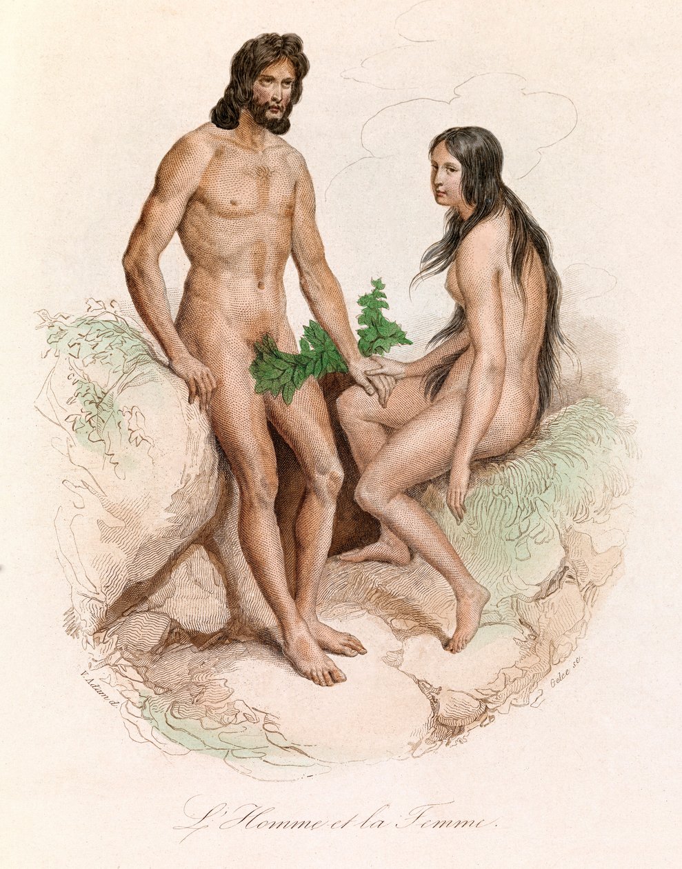 Ilustração do livro "Obras Completas de Buffon": História Natural do Homem: O Homem e a Mulher (gravura) de Unknown artist