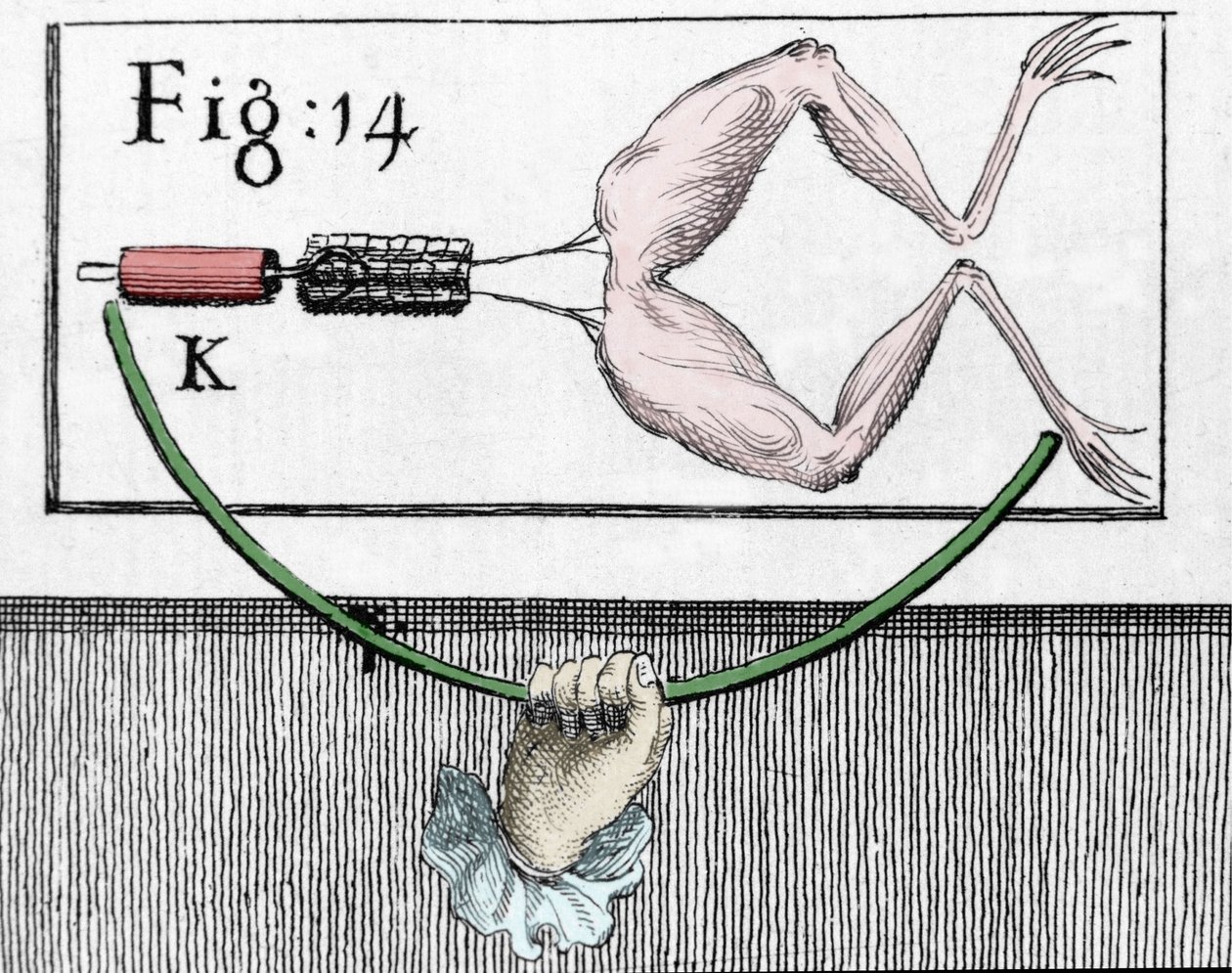 Ilustração de experiências de Luigi Galvani, físico e médico italiano (1737 - 1798) explicando a passagem de corrente elétrica movendo as pernas de um sapo. de Unknown artist