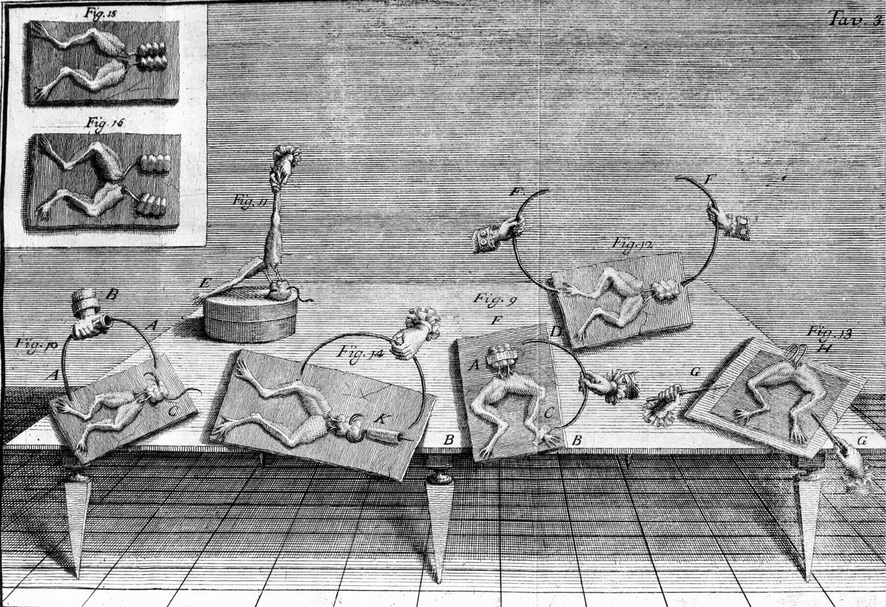 Ilustração de experiências de Luigi Galvani, físico e médico italiano (1737 - 1798) explicando a passagem de corrente elétrica movendo as pernas de um sapo. de Unknown artist
