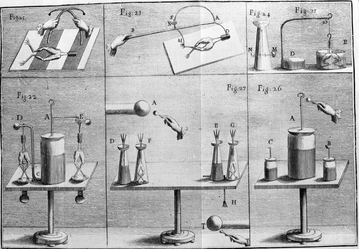 Ilustração de experiências de Luigi Galvani, físico e médico italiano (1737 - 1798) explicando a passagem de corrente elétrica movendo as pernas de um sapo. de Unknown artist