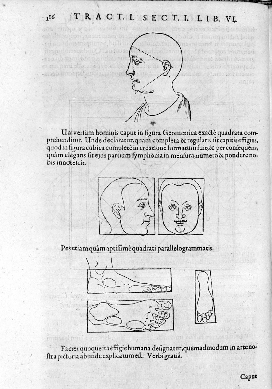 Imagem de fisionomia da "Collectio Operum" de Robert Fludd (Robertus de Fluctibus). Londres 1617. de Unknown artist