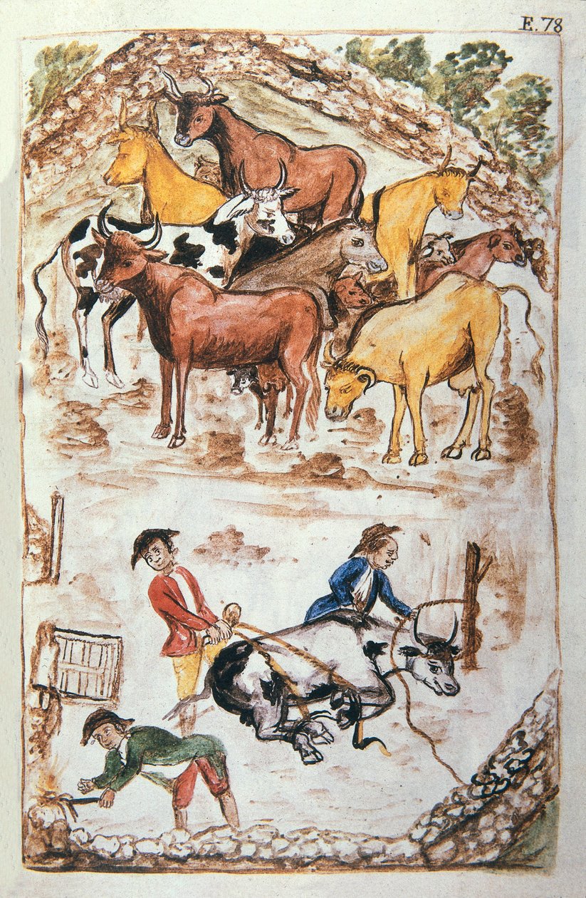 Guardiães Indianos das Vacas, do livro "Trujillo del Peru" ou "Códice Martínez Compañón", de Baltazar Martinez Compañón y Bujanda, bispo de Trujillo (1782-1785) de Unknown artist