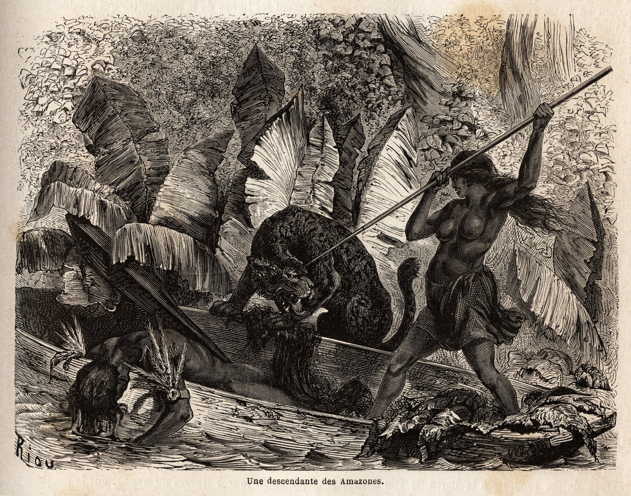 Ticuna indiana (Peru) atacando com uma lança um tigre que acaba de saltar em sua canoa e ferir seu companheiro, as ticunas do rio Nhamondas têm reputação para suas esposas guerreiras, por isso os primeiros viajantes e estudiosos a observá-las chamaram-nas  de Unknown artist