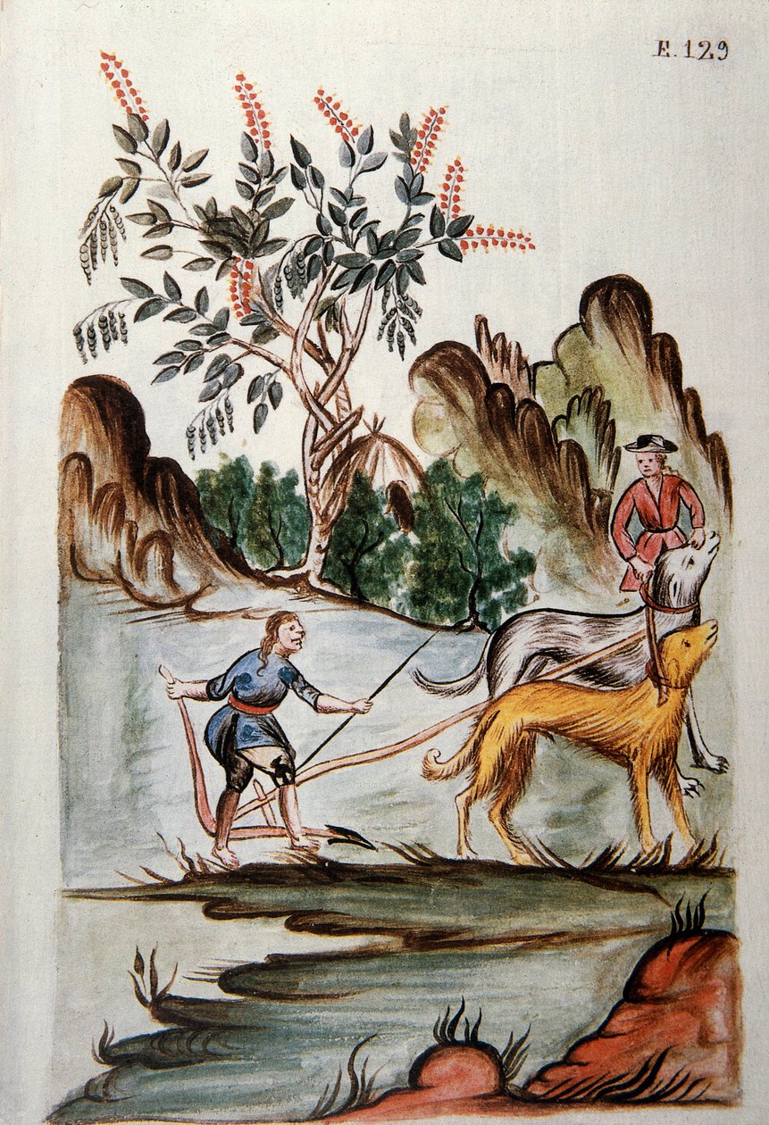 Índios lavrando um campo com cães, do livro "Trujillo del Peru" ou "Códice Martínez Compañón", de Baltazar Martinez Compañón y Bujanda, bispo de Trujillo (1782-1785) de Unknown artist