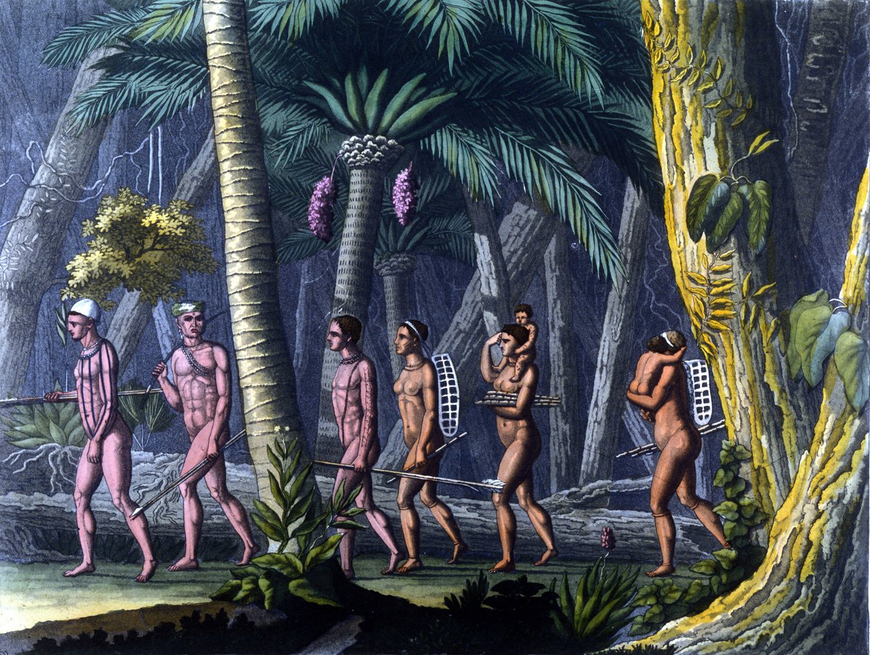 Índios Puris na floresta de Unknown artist