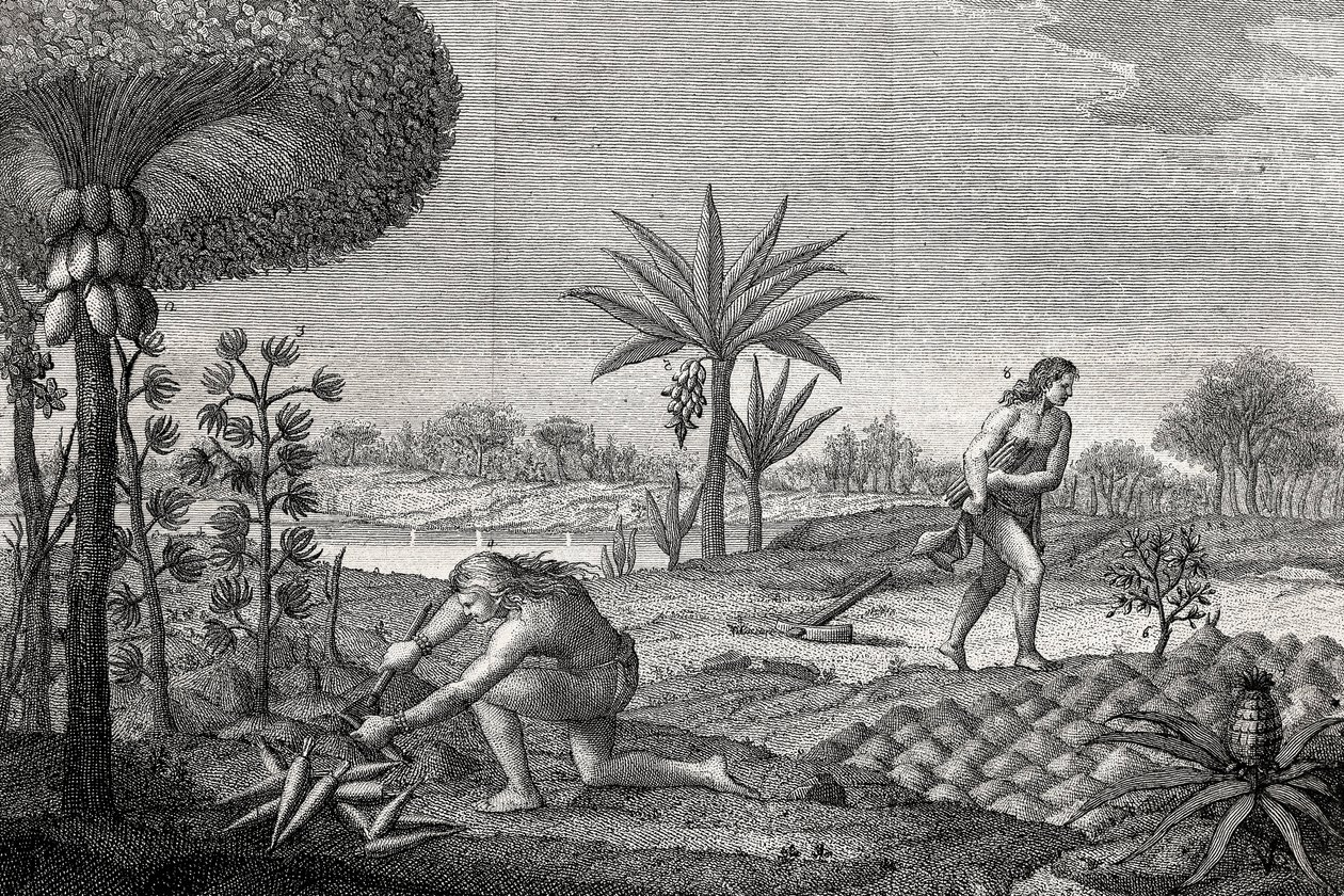 Indígenas que trabalham a terra na bacia do Orenoque, na Colômbia. Gravura de 1780 de Unknown artist