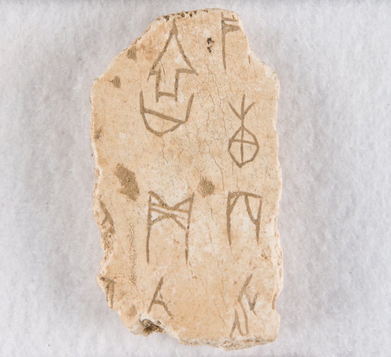 Fragmento de osso inscrito ("osso oráculo") de Unknown artist