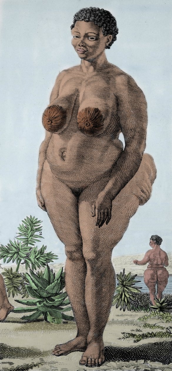 La Venus Hottentote, mulher de Bochiman; (The Hottentot Venus,) gravura de 1815. de Unknown artist