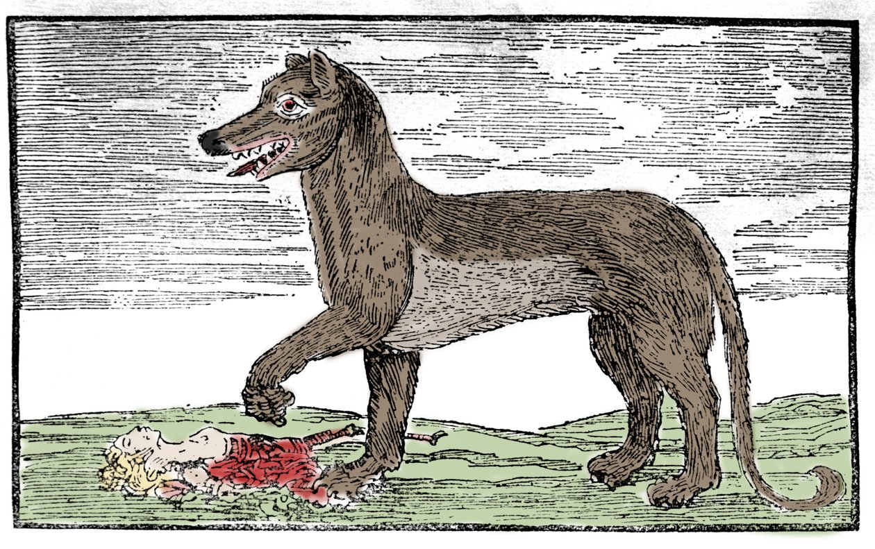 La bete du Gevaudan Engraving de "Saint James