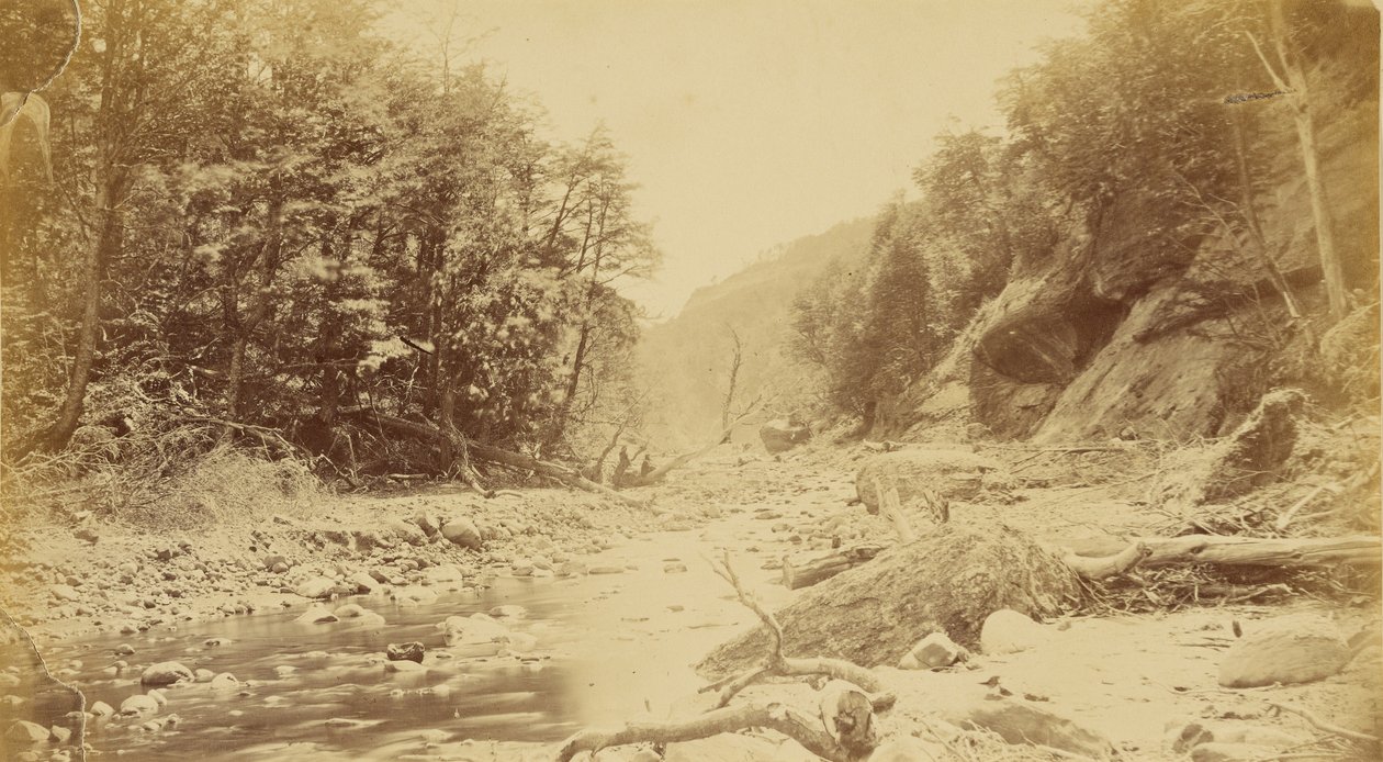 [Paisagem com um rio, possivelmente na América do Sul]. de Unknown artist