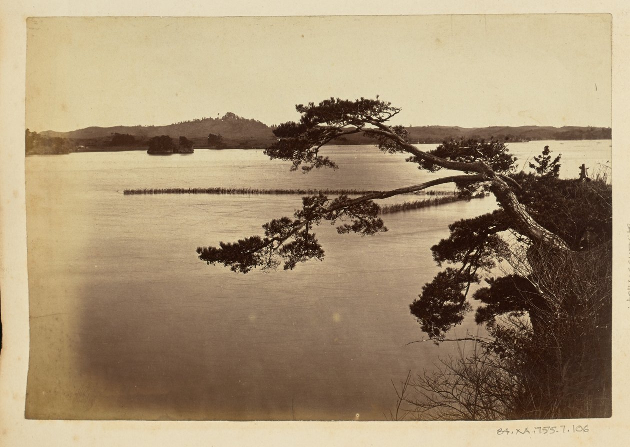 [Paisagem com lago e árvores]. de Unknown artist