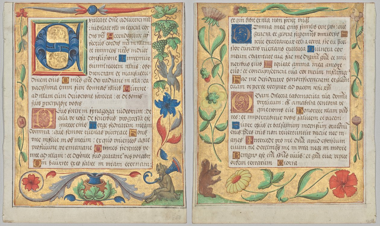 Folha de um saltério e livro de orações: inicial E com borda ornamental contendo um sátiro sentado e um pássaro comendo uvas (reto) e borda ornamental com flores e esquilo (verso) (2 de 3 folhas extirpadas) de Unknown artist
