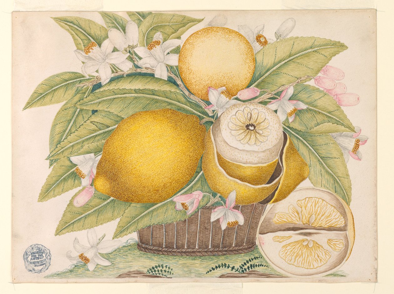 Limões e flores de limão em uma cesta de Unknown artist
