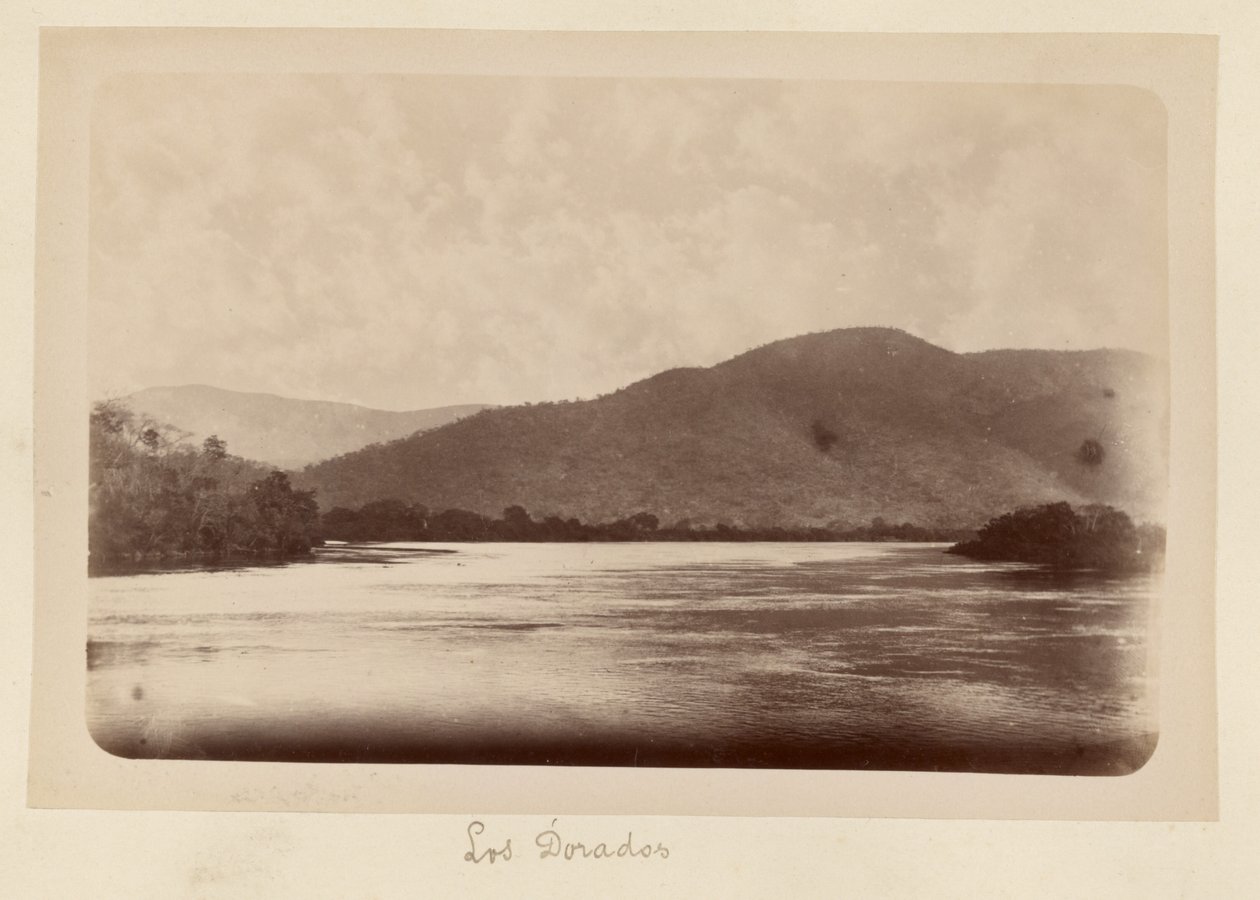 Los Dorados de Unknown artist
