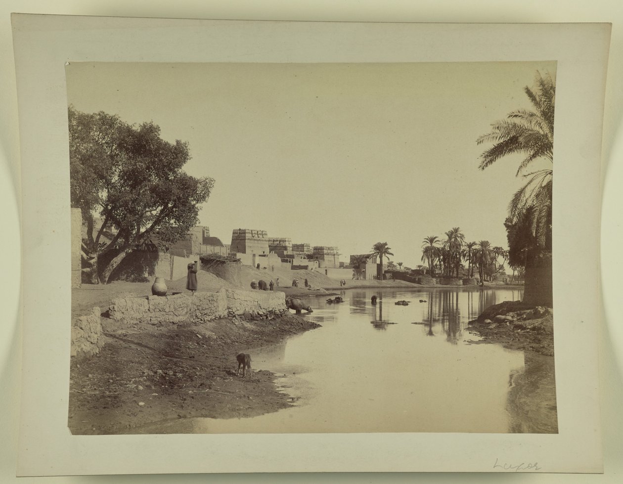 [Luxor] de Unknown artist