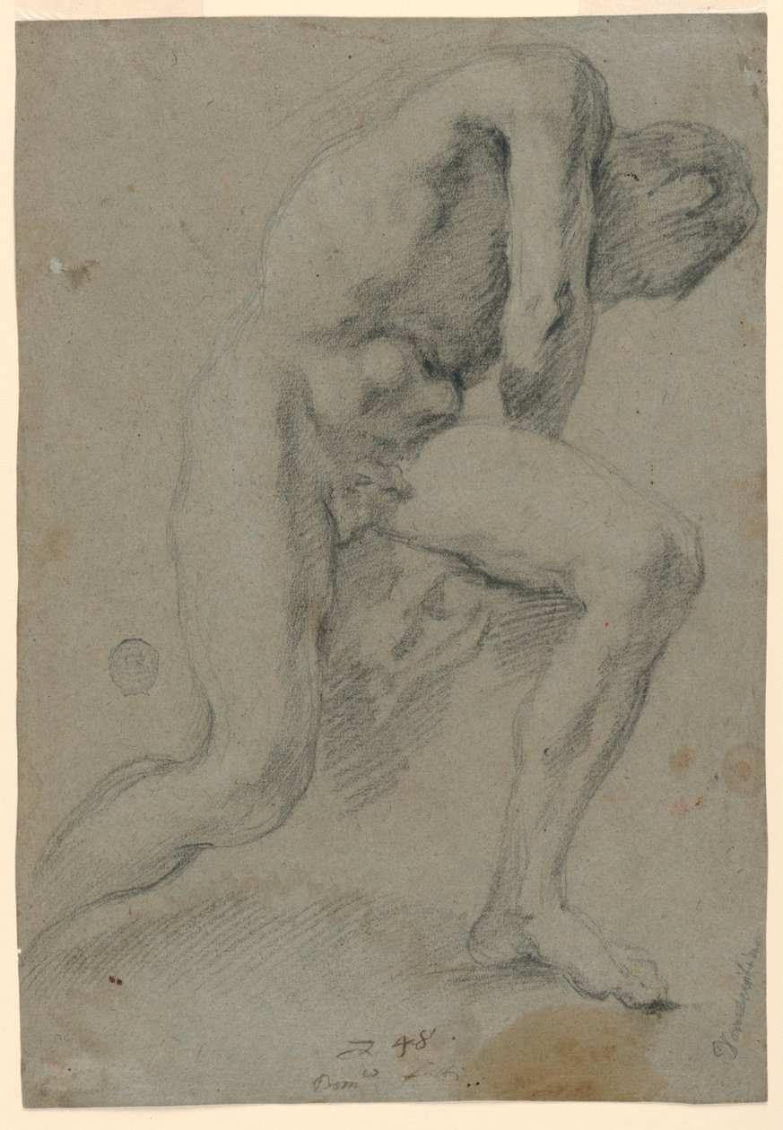 Nu masculino de Unknown artist