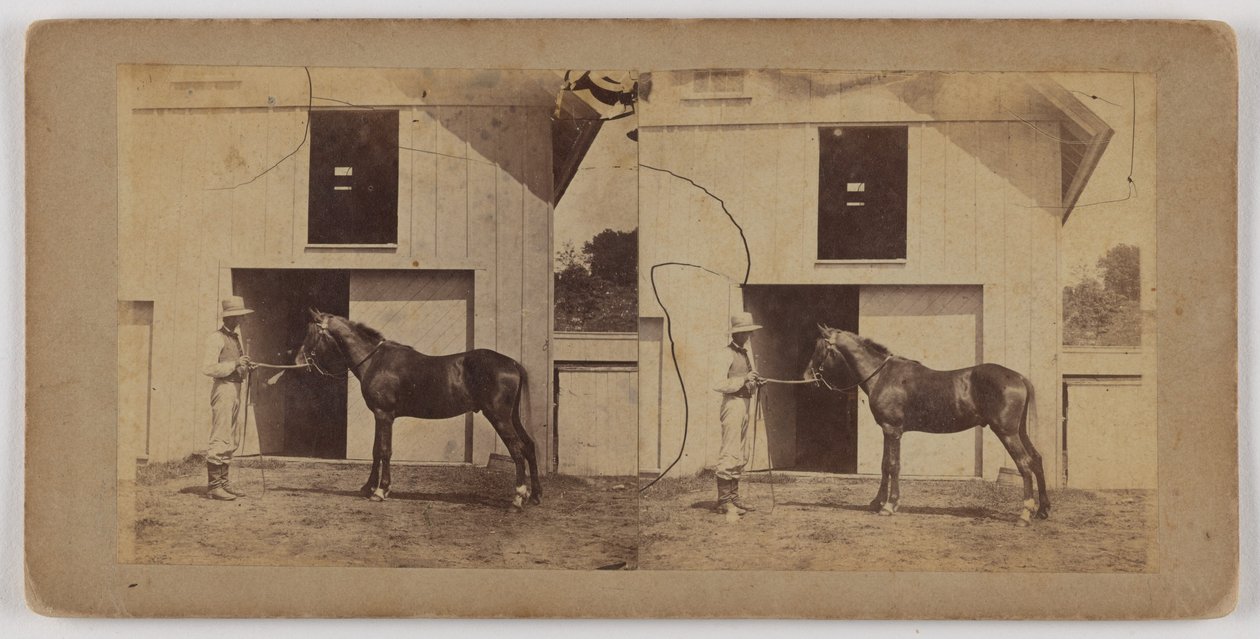 [Homem a segurar o cavalo pelo freio]. de Unknown artist