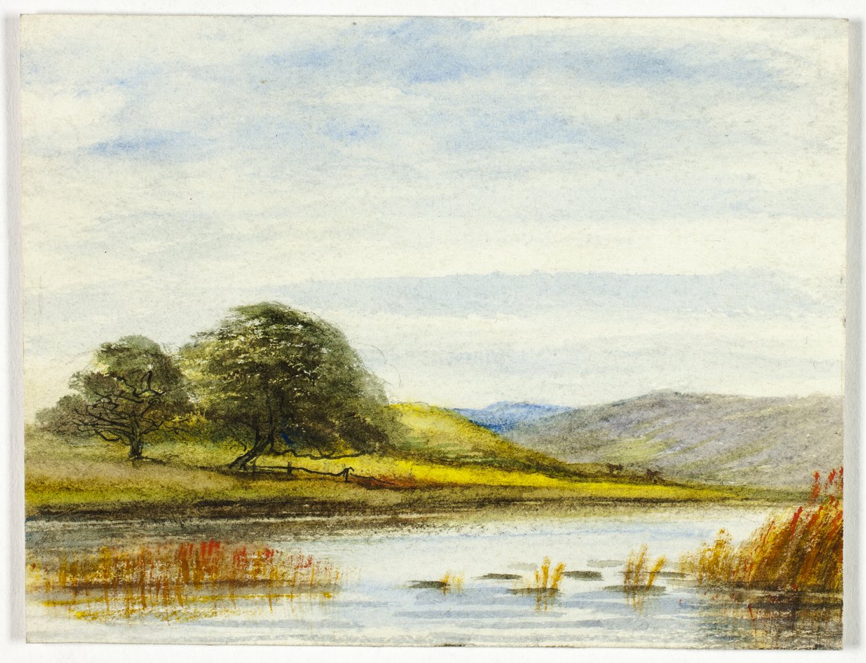 Paisagem pantanosa de Unknown artist
