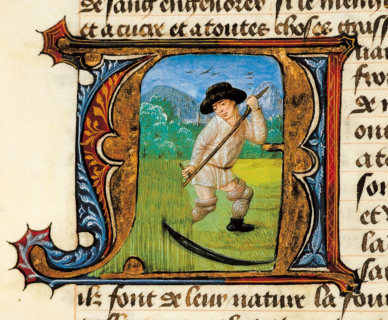 Medicina: um camponês a cortar o trigo. Miniatura retirada do Tratado de Medicina de Aldebrande de Florence (Aldebrando) de Unknown artist