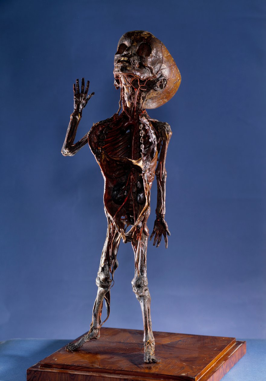 Medicina: descasque a estatueta. Colecção privada do século XVIII de Unknown artist