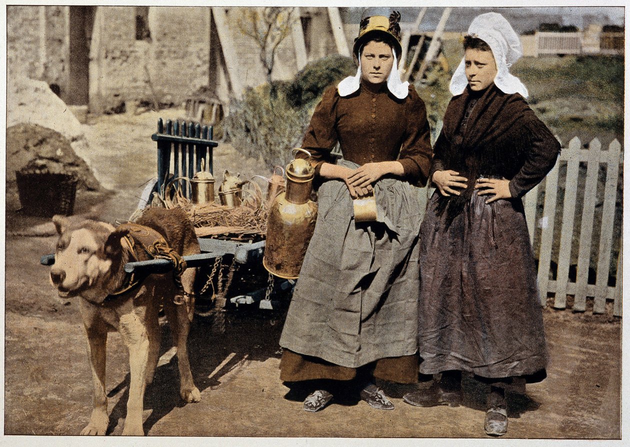Comerciantes de leite e carrinho de cachorro de Antuérpia, finais do século XIX de Unknown artist
