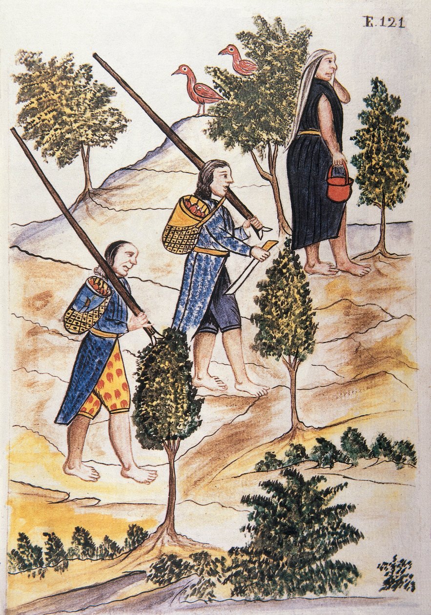 Índios Motilones vão caçar, do livro "Trujillo del Peru" ou "Códice Martínez Compañón", de Baltazar Martínez Compañón y Bujanda, bispo de Trujillo (1782-1785) de Unknown artist