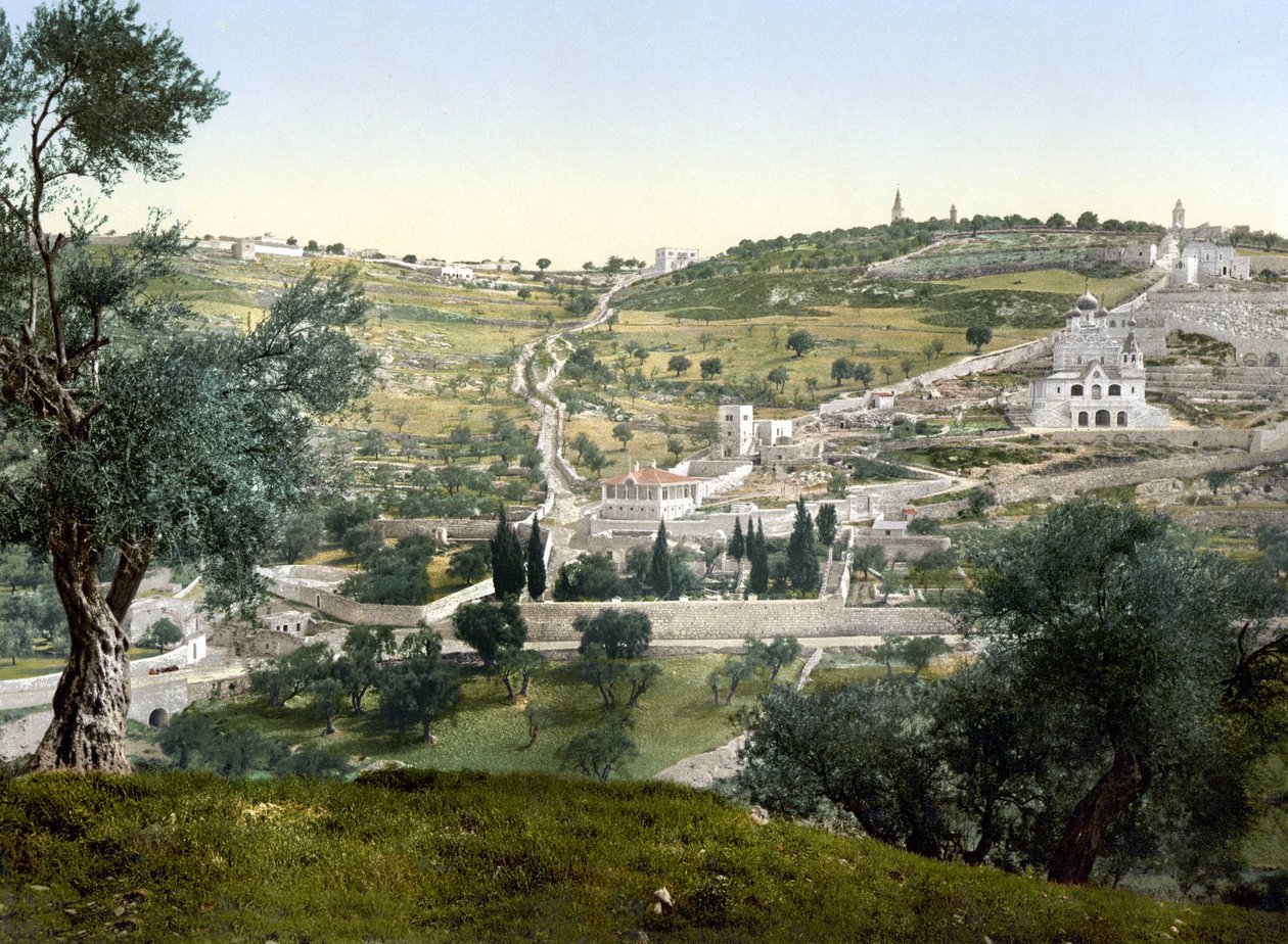 Monte das Oliveiras e Gethsemani, Jerusalém. Fotocrómio entre 1890-1900. de Unknown artist