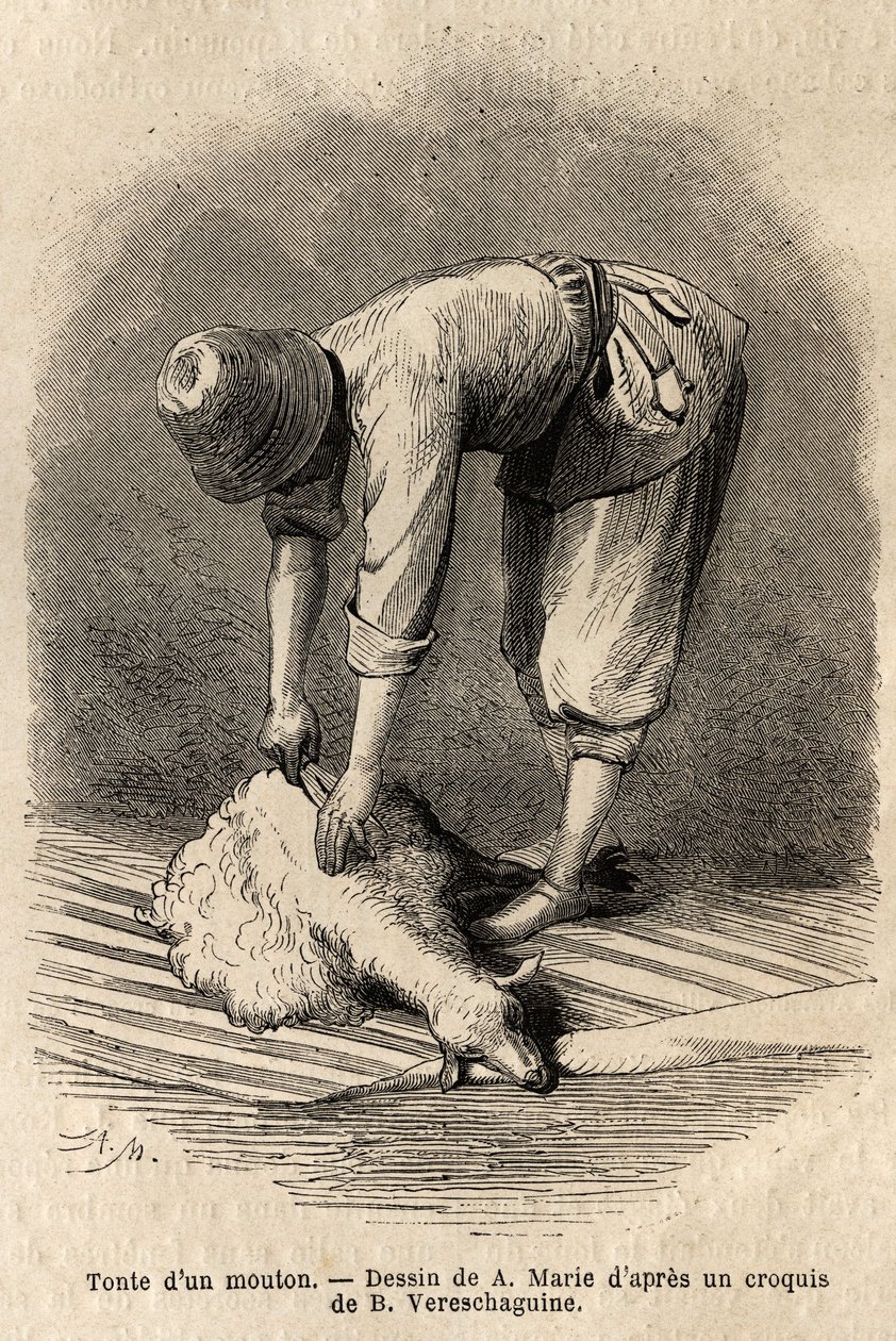 Corte de uma ovelha por um jovem tártaro, em Schusha (Transcaucasia, Rússia). Gravura para ilustrar a viagem nas províncias do Cáucaso, por Basile Vereschaguine, em 1864-1865, publicada em "le tour du monde", sob a direcção de D