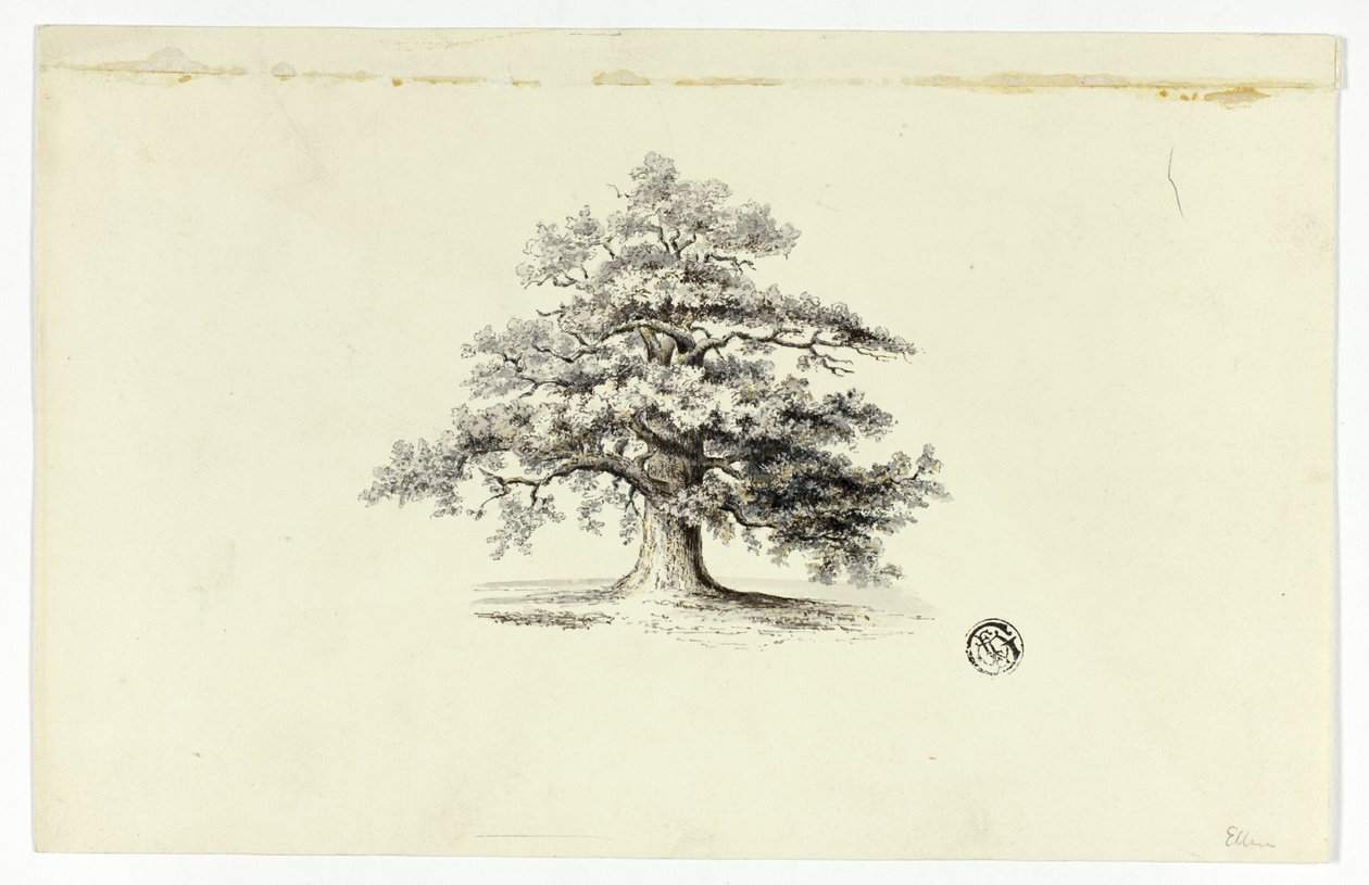 Carvalho de Unknown artist