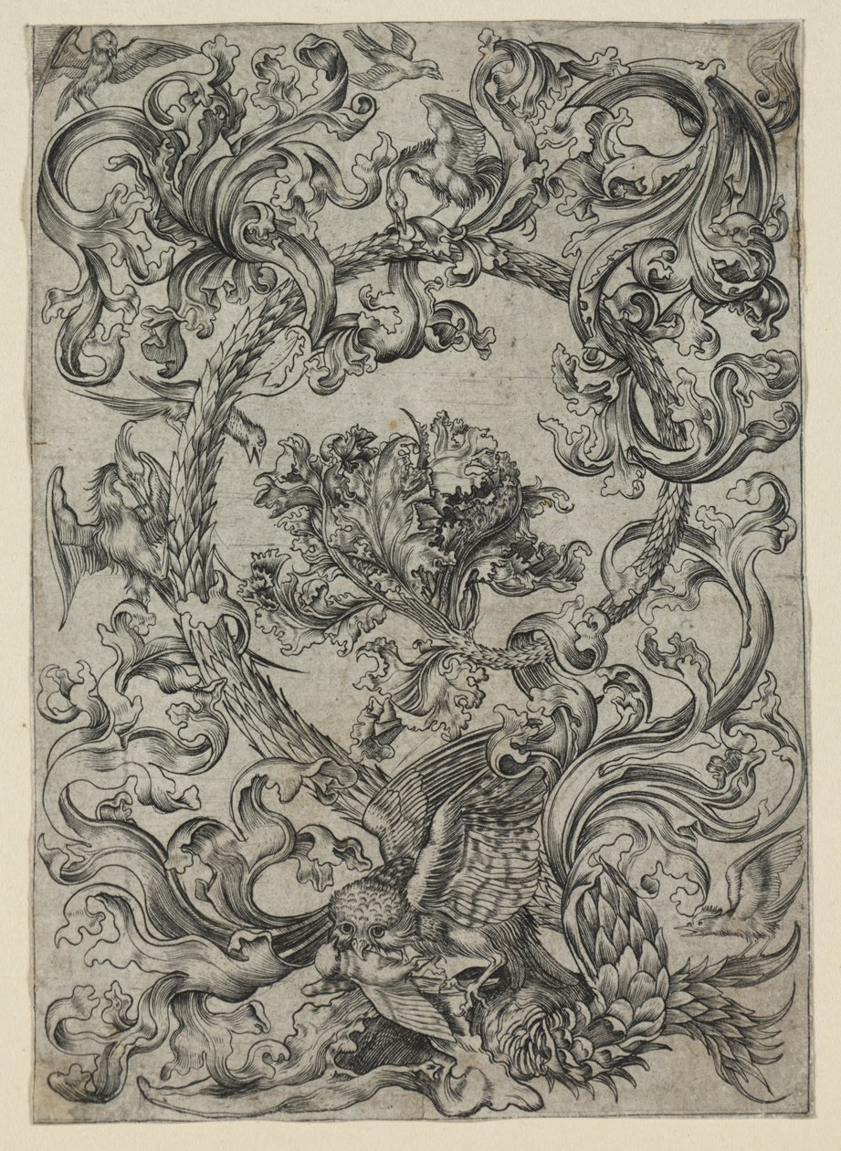 Folhagem ornamental, com uma coruja e outras aves de Unknown artist