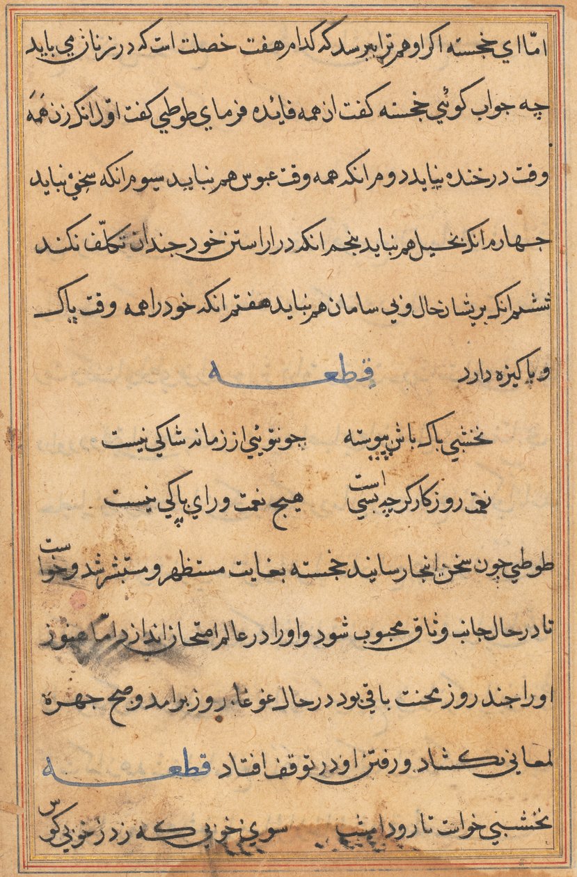 Página de Tales of a Parrot (Tuti-nama): página de texto de Unknown artist