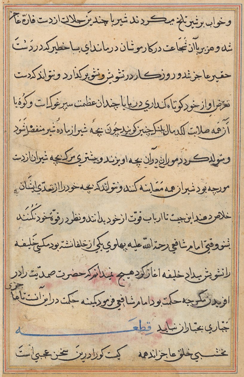 Página de Tales of a Parrot (Tuti-nama): página de texto de Unknown artist
