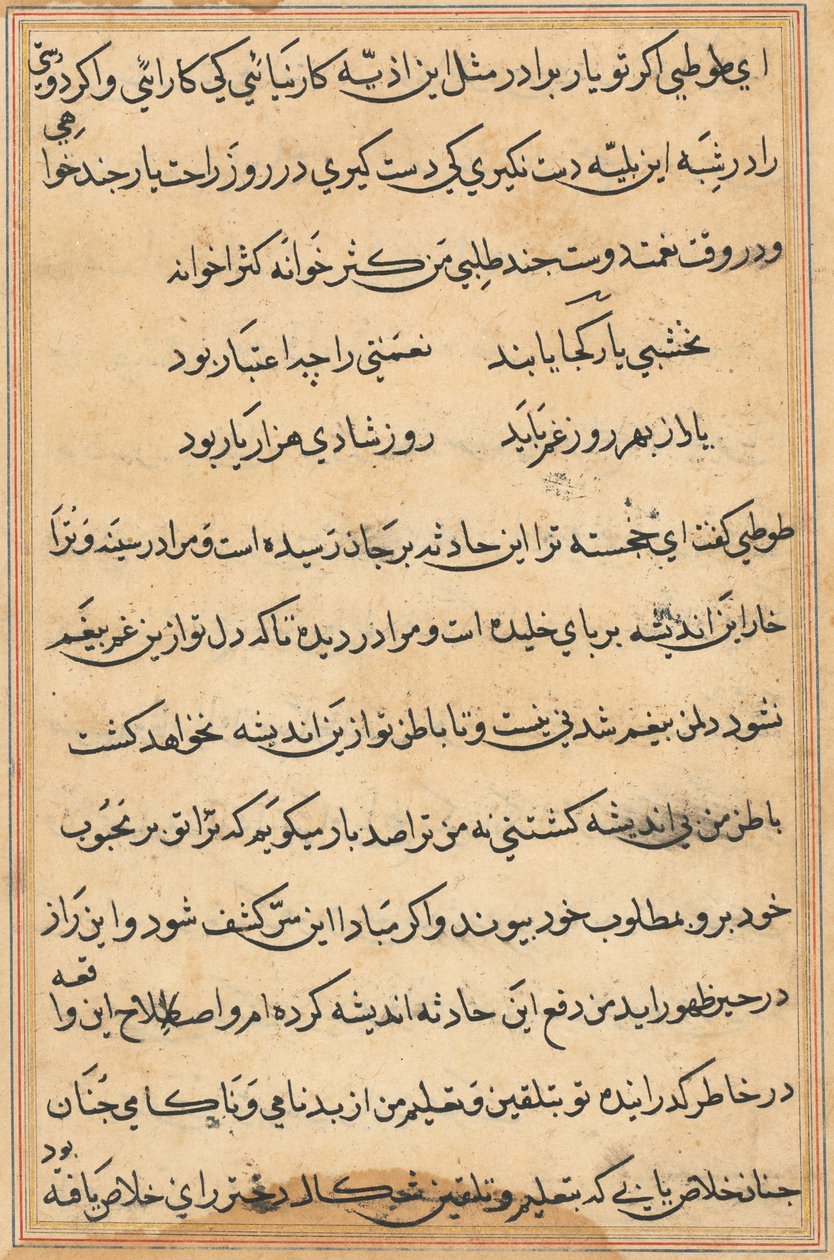 Página de Tales of a Parrot (Tuti-nama): página de texto de Unknown artist